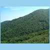 Cumiana 029.jpg